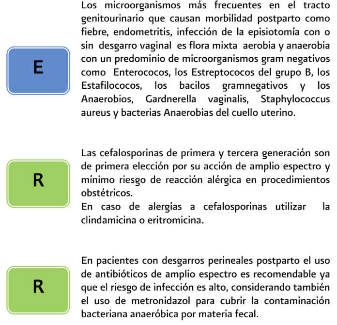 6. Tratamiento 1 - GPC-IMSS-608-13